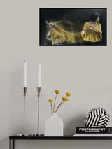 dream maker Poster och Canvastavla