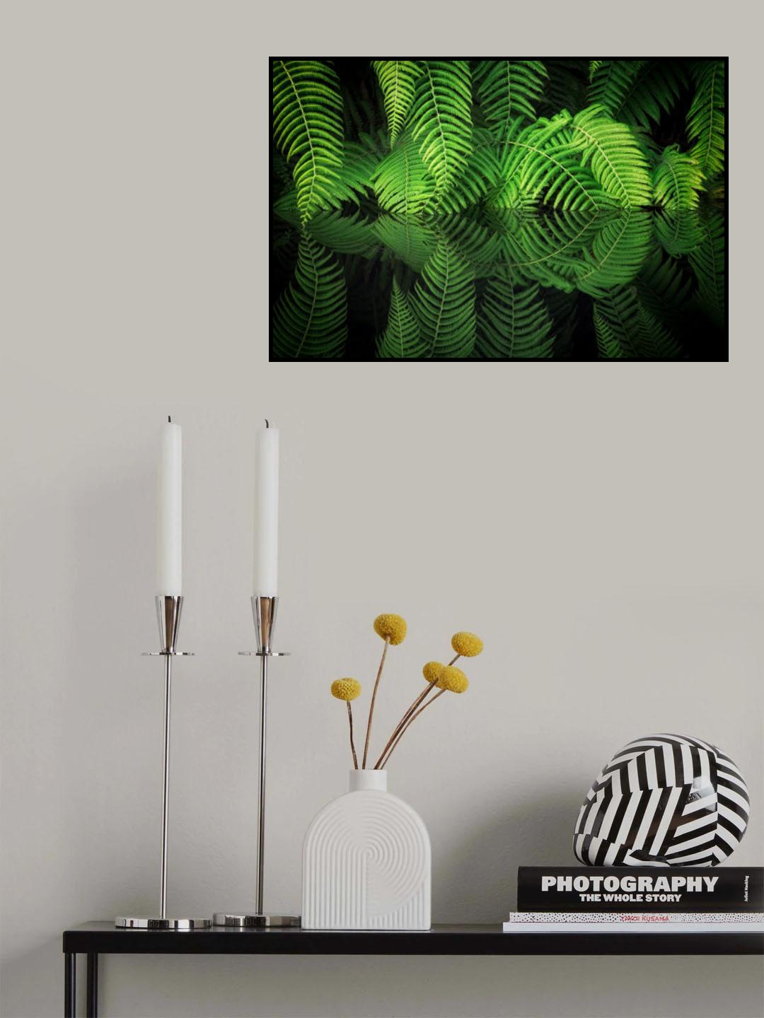 Fern Reflection Poster och Canvastavla