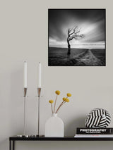 Lake Whisperer Poster och Canvastavla