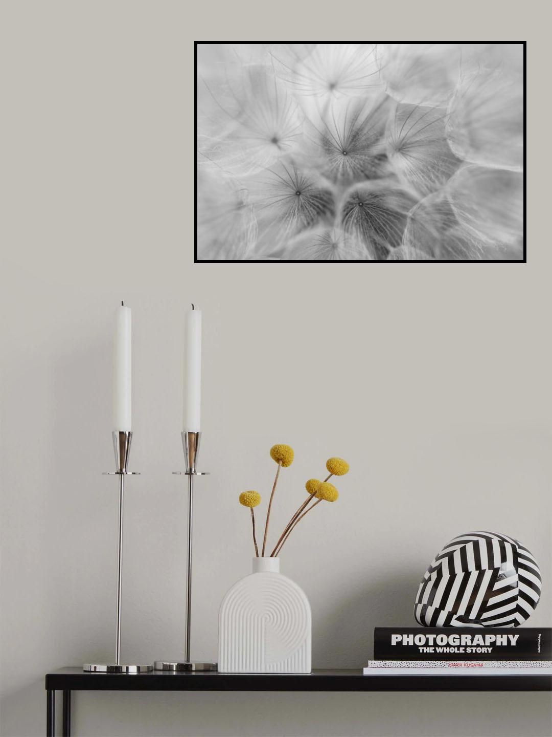 Salsify Poster och Canvastavla