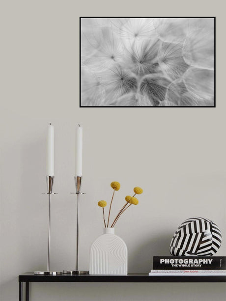 Salsify Poster och Canvastavla