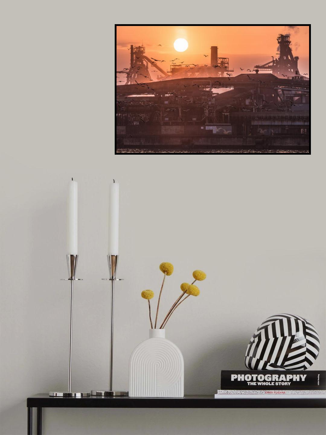 Cormorant Poster och Canvastavla