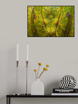 Sleep and Relax Poster och Canvastavla