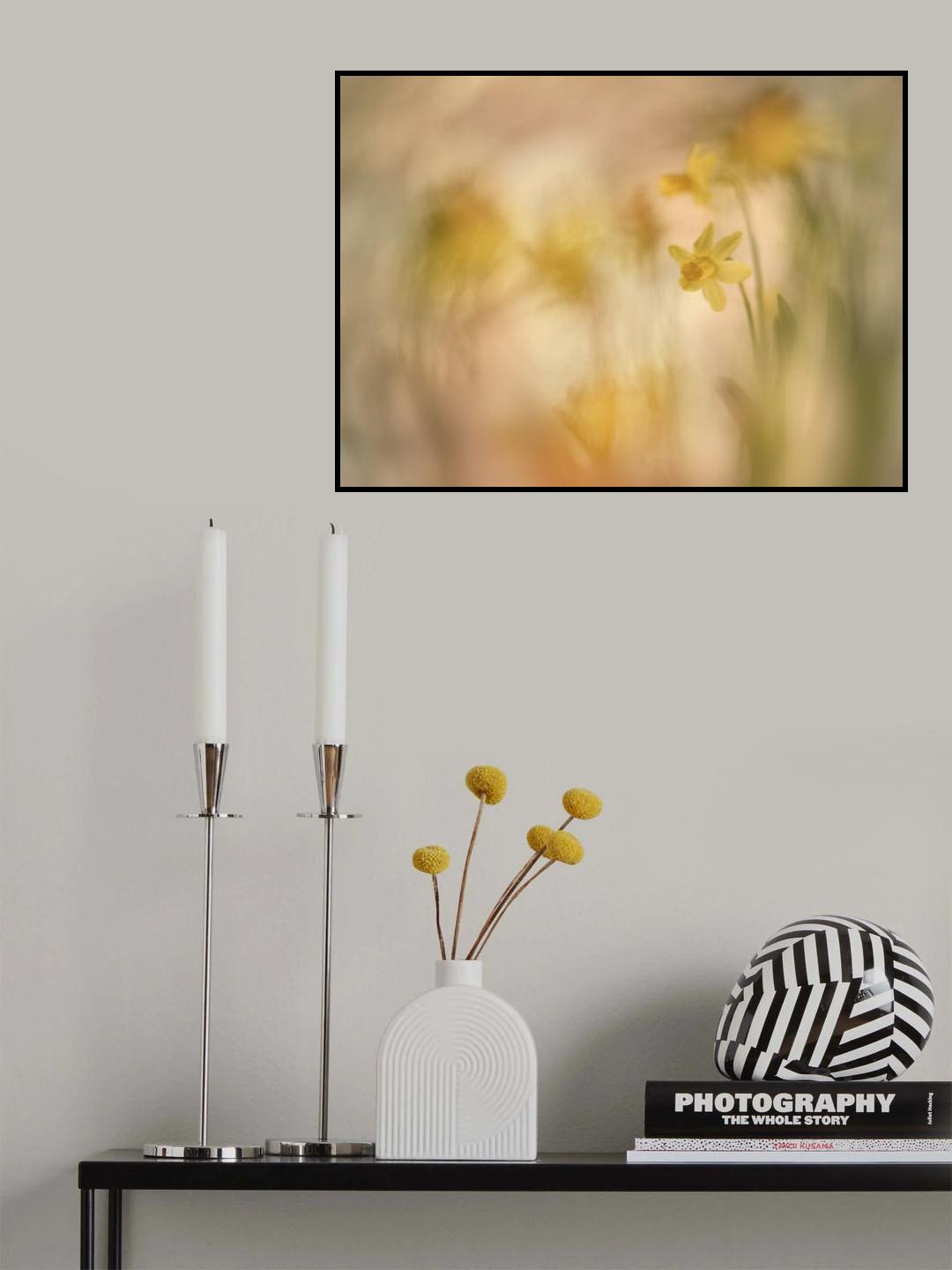 Daffodils Poster och Canvastavla