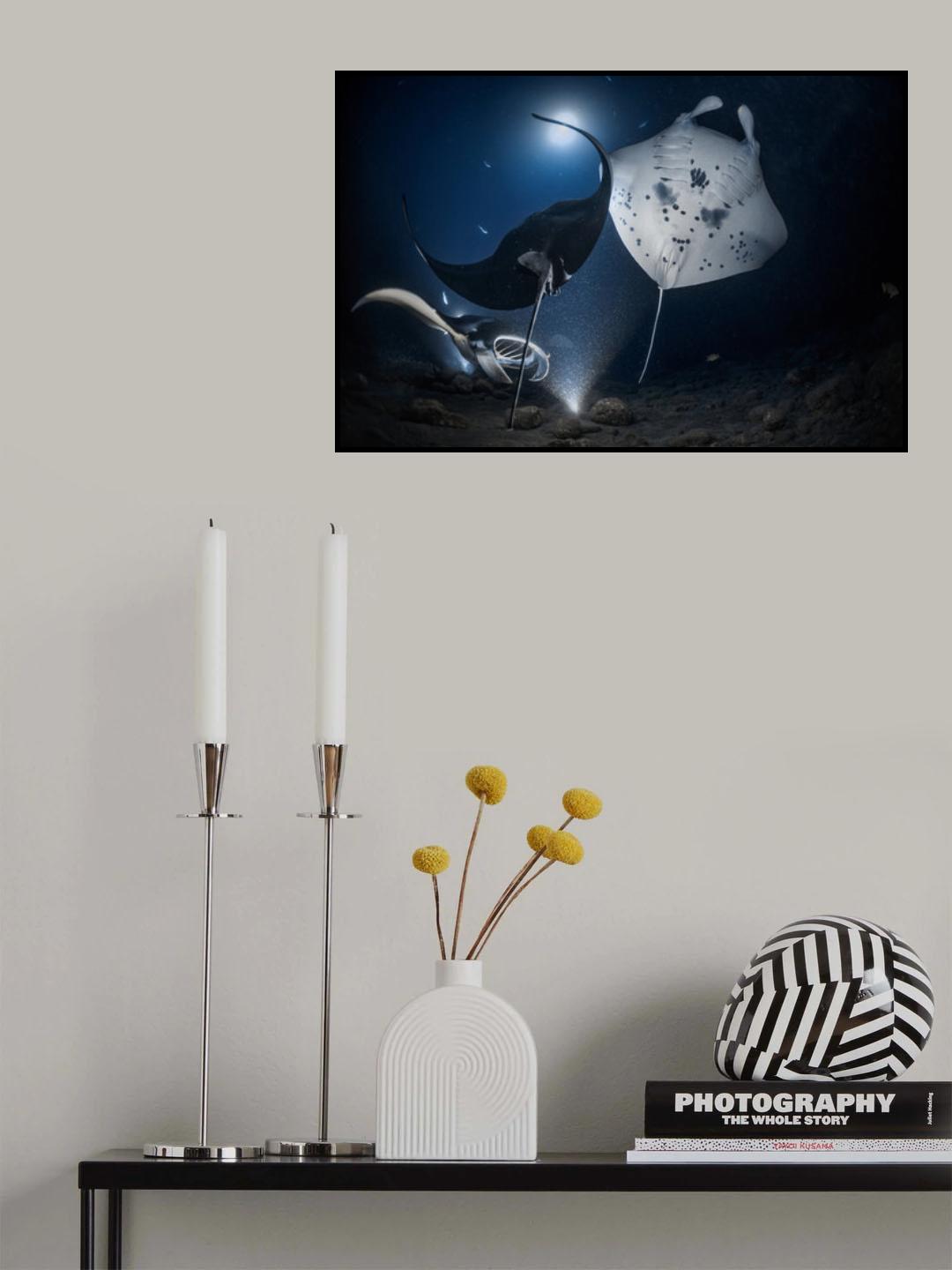 Mantas night out Poster och Canvastavla