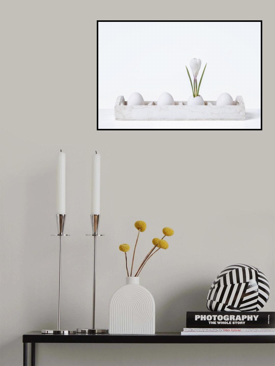Eggplant Poster och Canvastavla