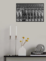 Traveler Trolley Luggage Poster och Canvastavla