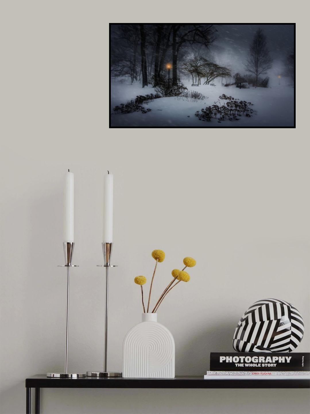 Winter Storm Jonas Poster och Canvastavla