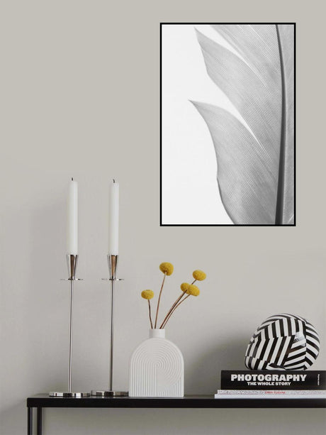 Feather_004 Poster och Canvastavla