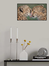 Kiss kiss... Poster och Canvastavla