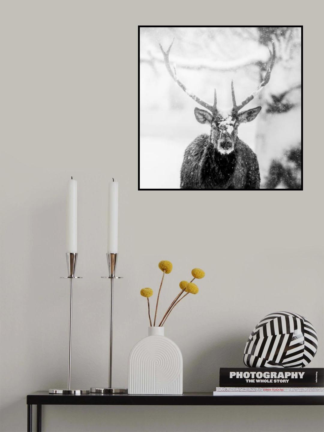 Male deer in heavy snow Poster och Canvastavla