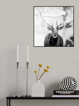 Male deer in heavy snow Poster och Canvastavla