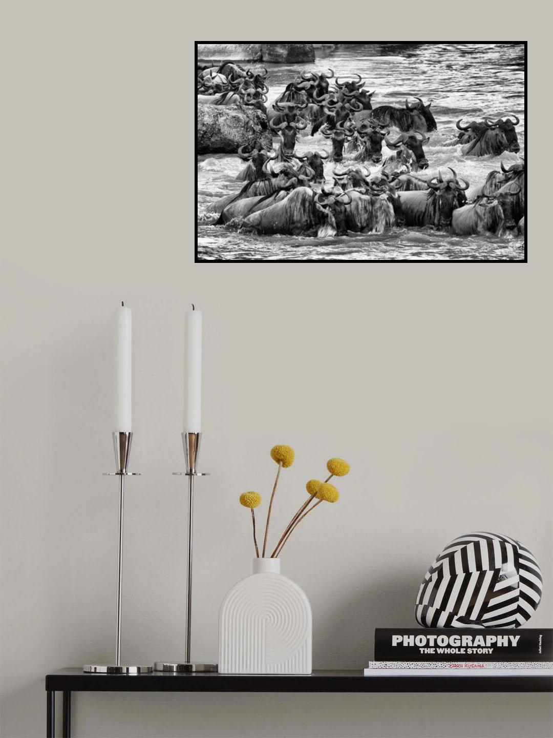 Survival Mode Poster och Canvastavla