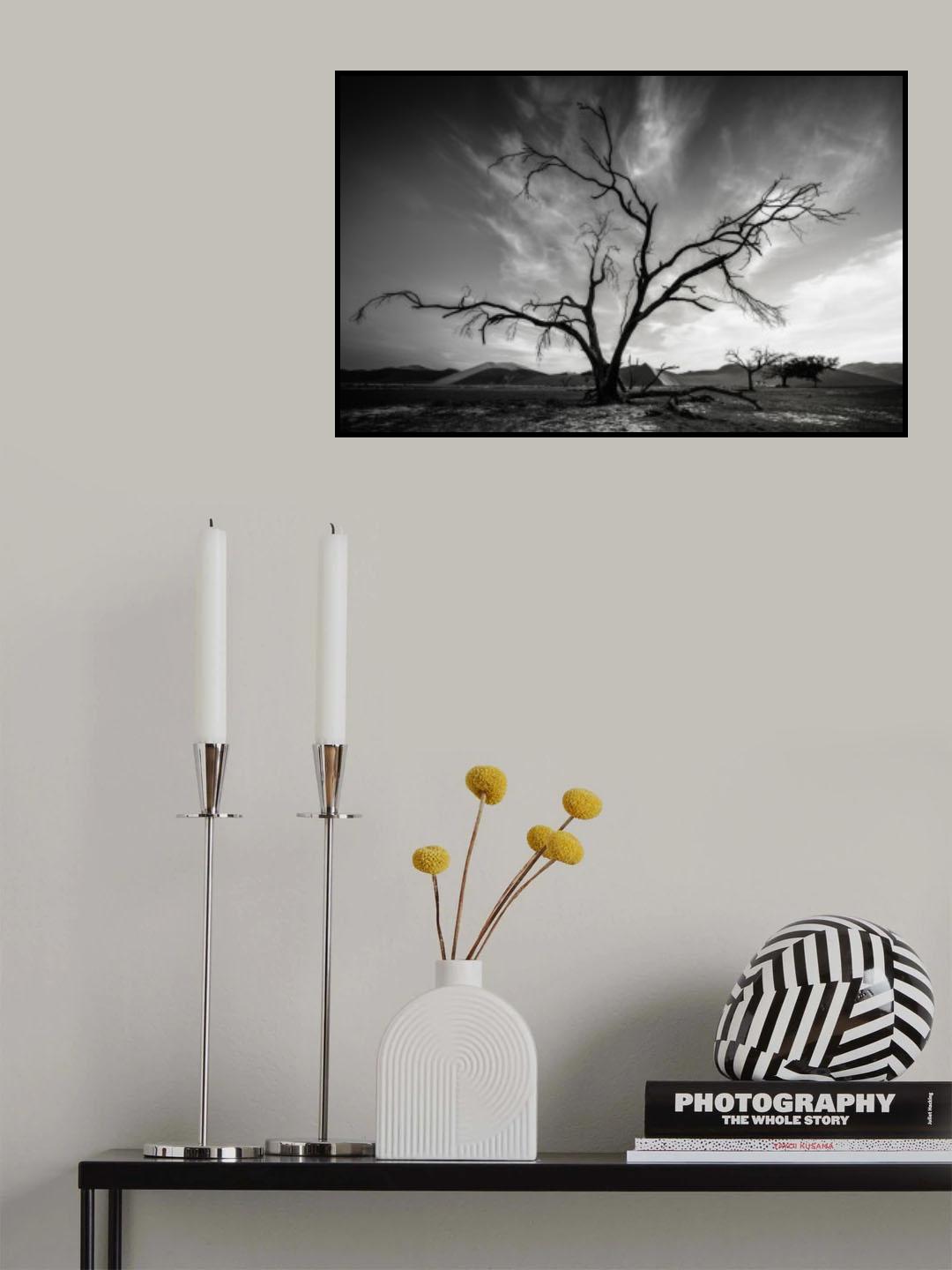 Majestic 7R48858 Poster och Canvastavla