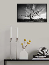Majestic 7R48858 Poster och Canvastavla