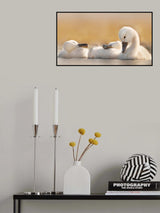 Sweet Pies Poster och Canvastavla