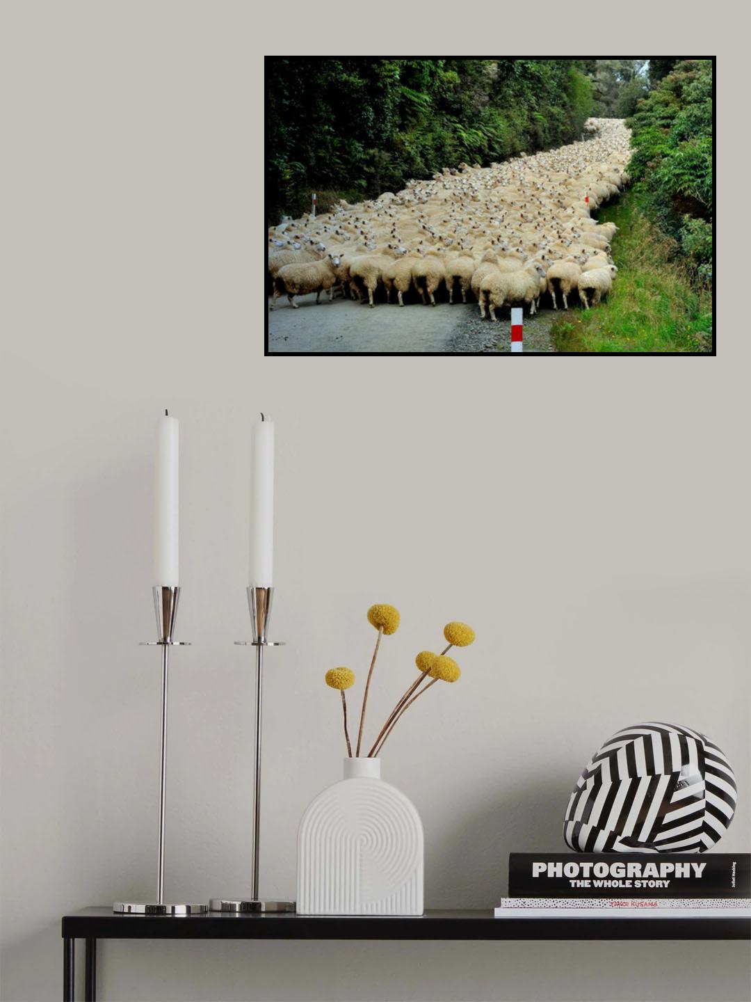 Sheep River Poster och Canvastavla