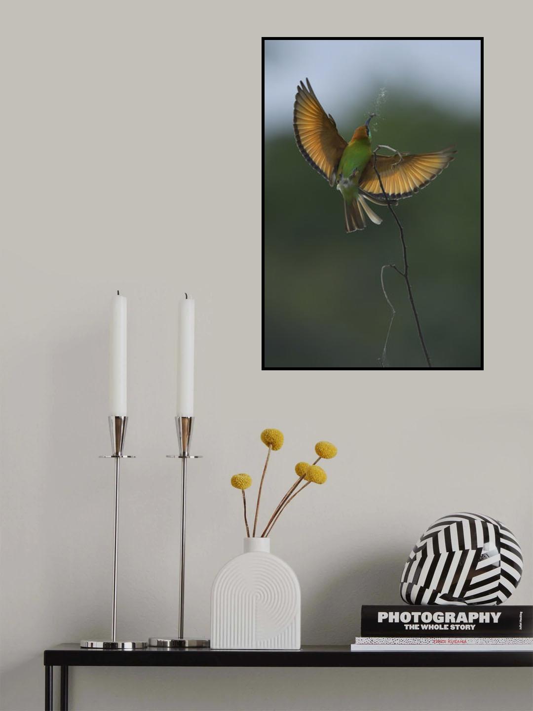 Bee-eater Poster och Canvastavla