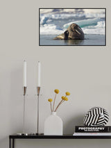 Hello Poster och Canvastavla