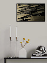 Facade decoration Poster och Canvastavla