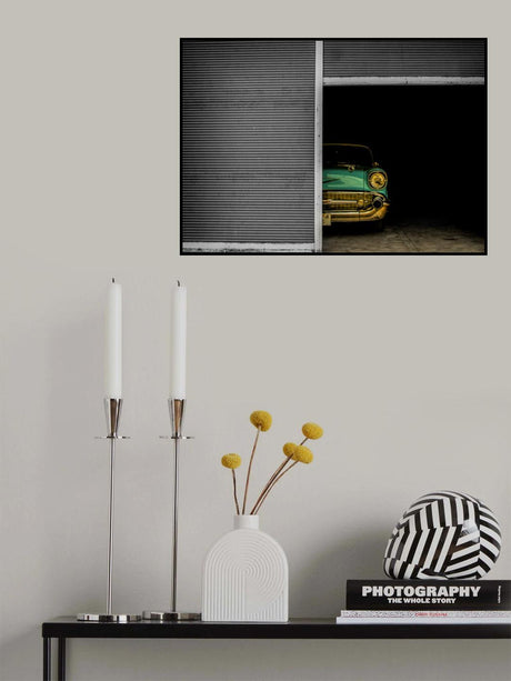 Hidden Beauty Poster och Canvastavla