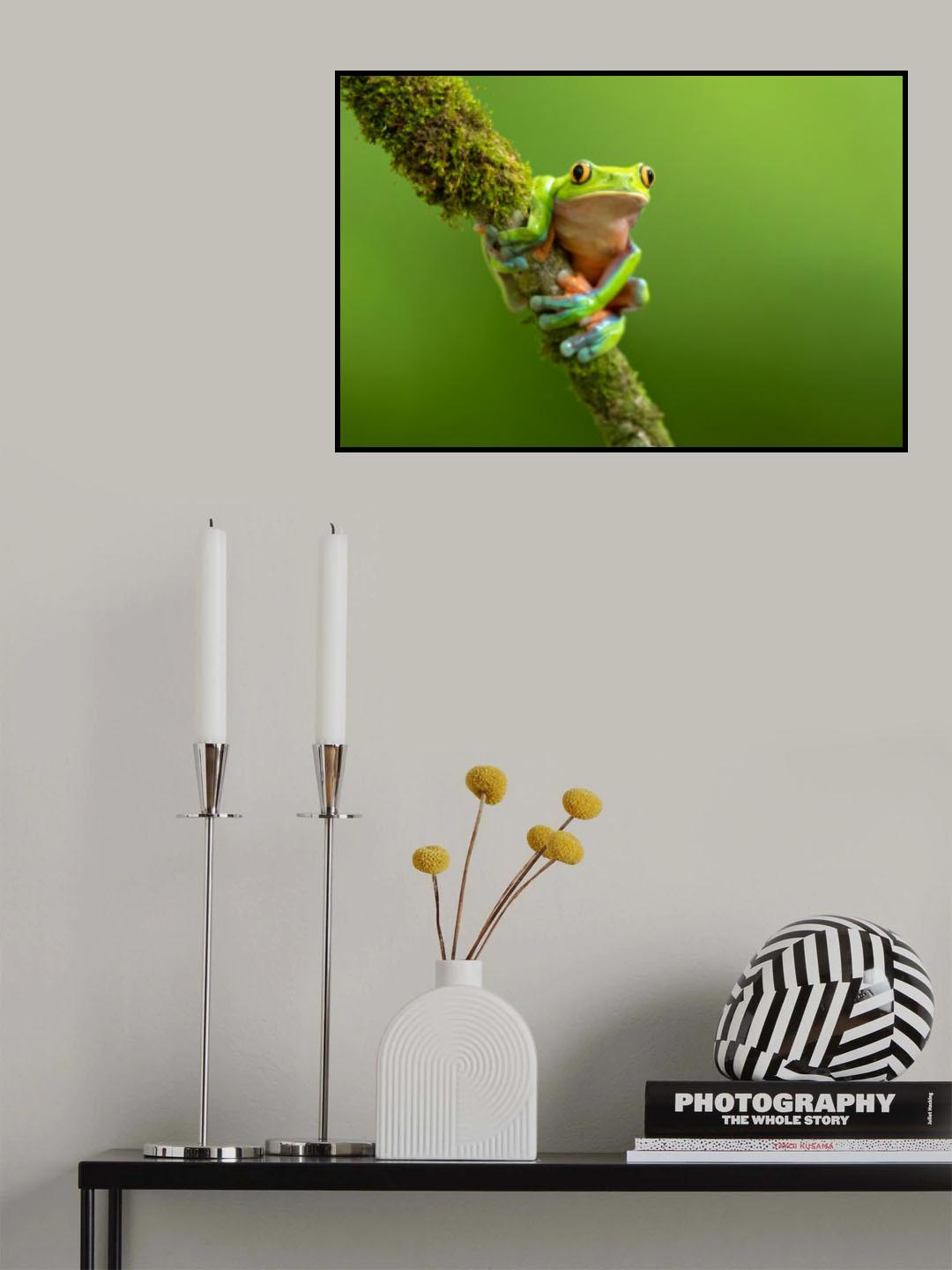 Blue-sided leaf frog Poster och Canvastavla