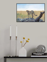 waiting for the hunt Poster och Canvastavla