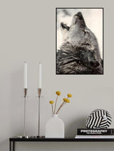 Soul howling Poster och Canvastavla