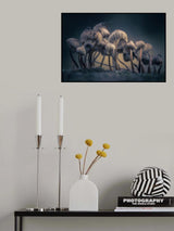 Late to the party Poster och Canvastavla