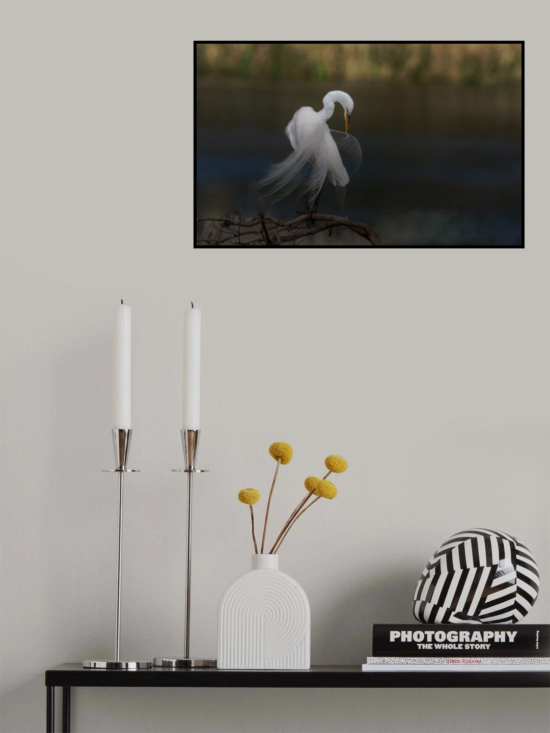 The beauty (3) Poster och Canvastavla