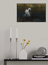 The beauty (3) Poster och Canvastavla