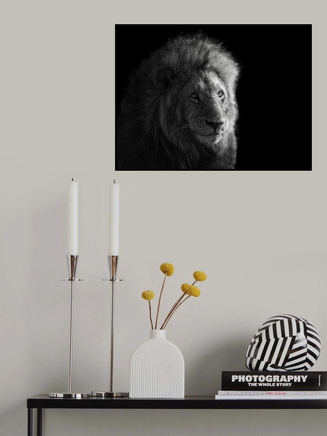 Portrait of Simba Poster och Canvastavla