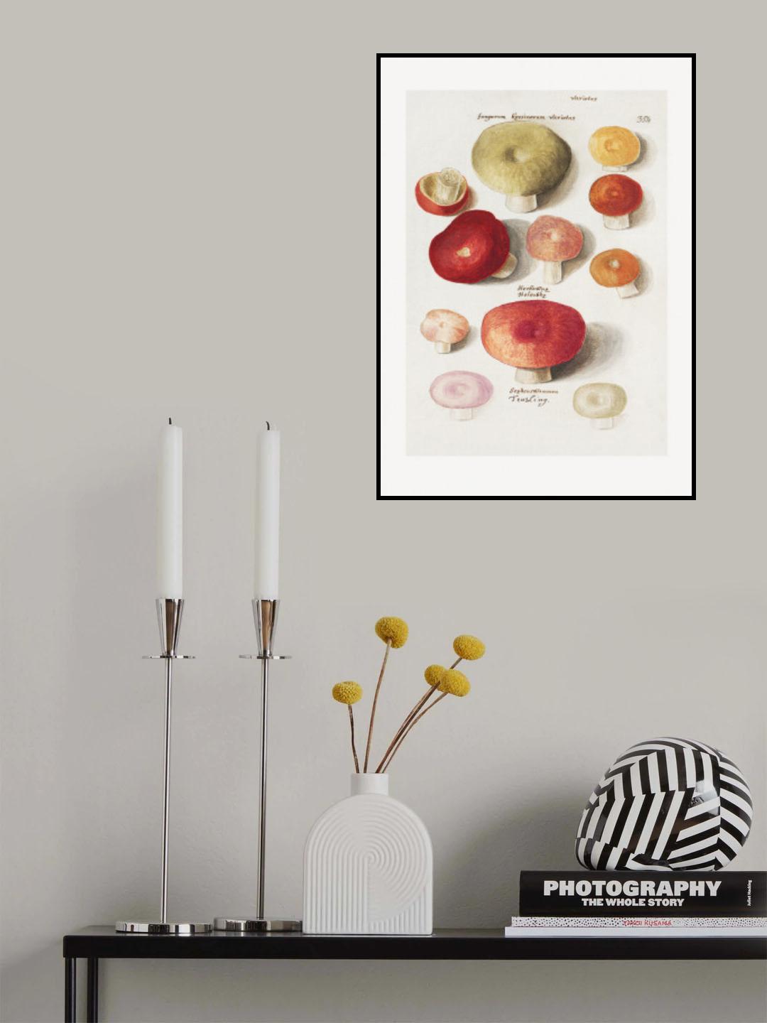 Boleten, Boletales Standing Poster och Canvastavla