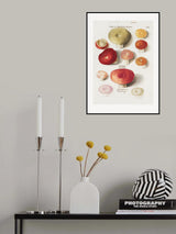 Boleten, Boletales Standing Poster och Canvastavla