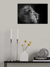 Simba in monochrome Poster och Canvastavla