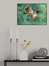 Superb Catch Poster och Canvastavla