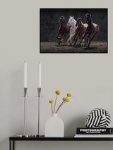 Racing Horses Poster och Canvastavla