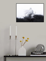 Mother and baby birds Poster och Canvastavla
