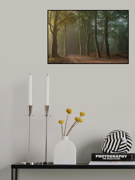 Foggy forrest Poster och Canvastavla