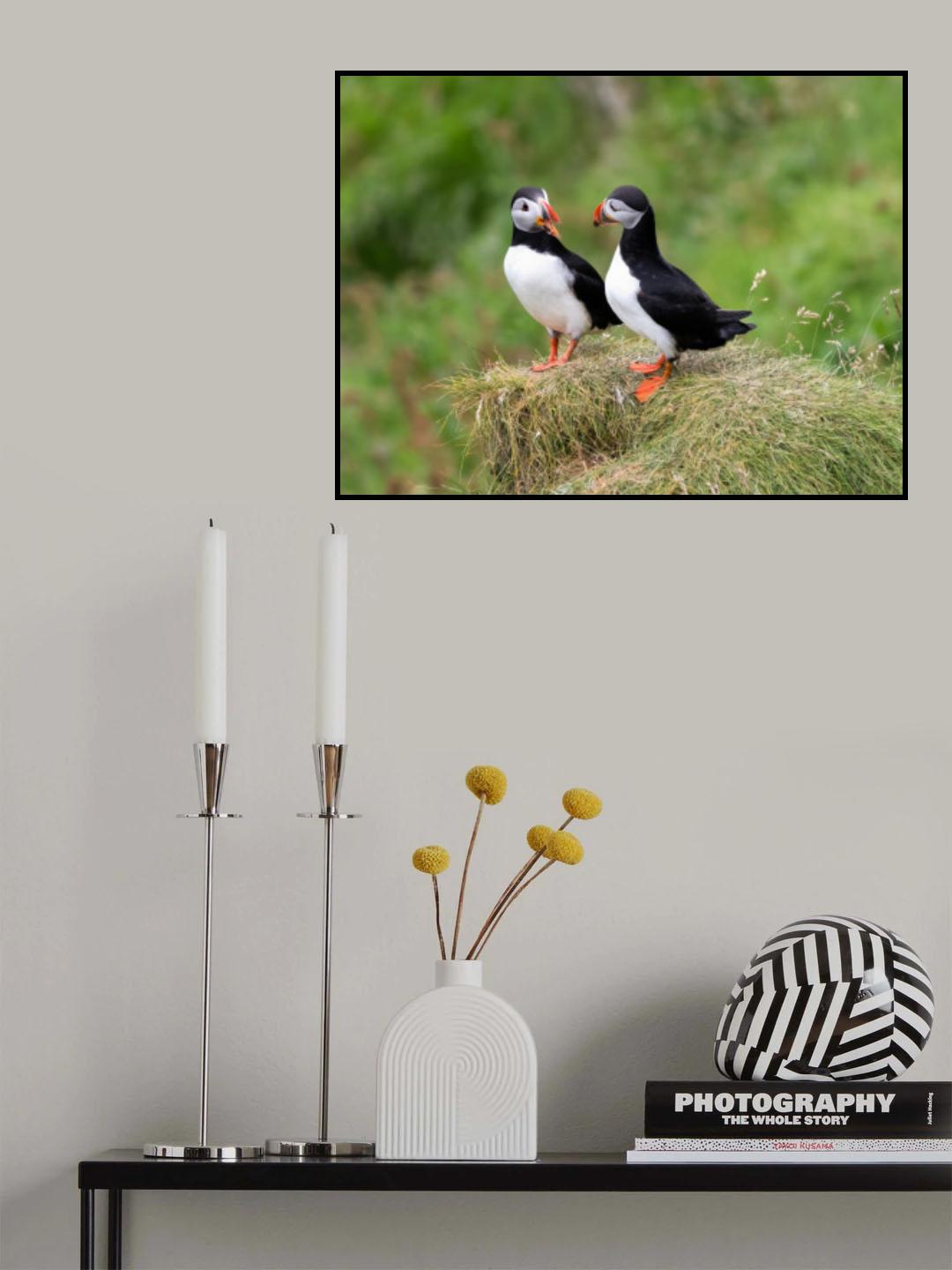 A good listener Poster och Canvastavla