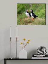A good listener Poster och Canvastavla