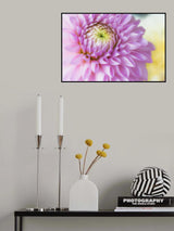 The Beauty of PINK Poster och Canvastavla