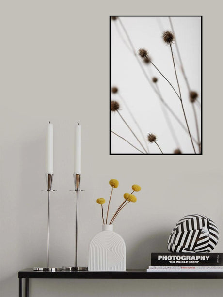 Thistle Grey 05 Poster och Canvastavla