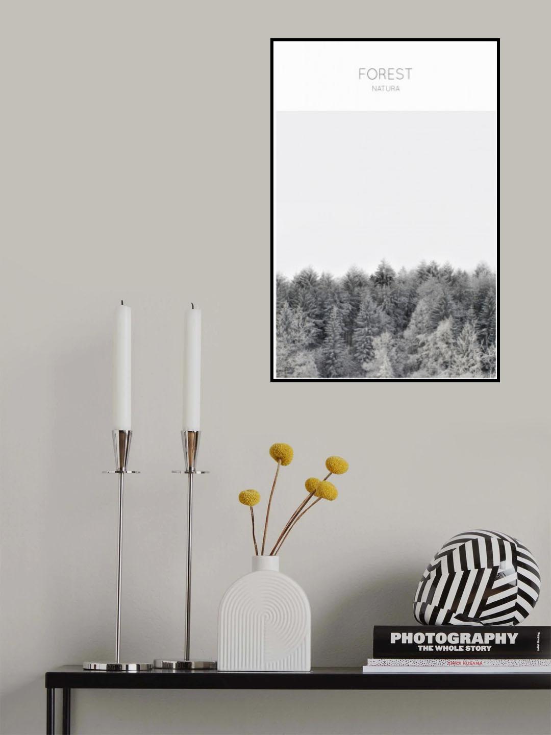 Forest Photography Poster och Canvastavla