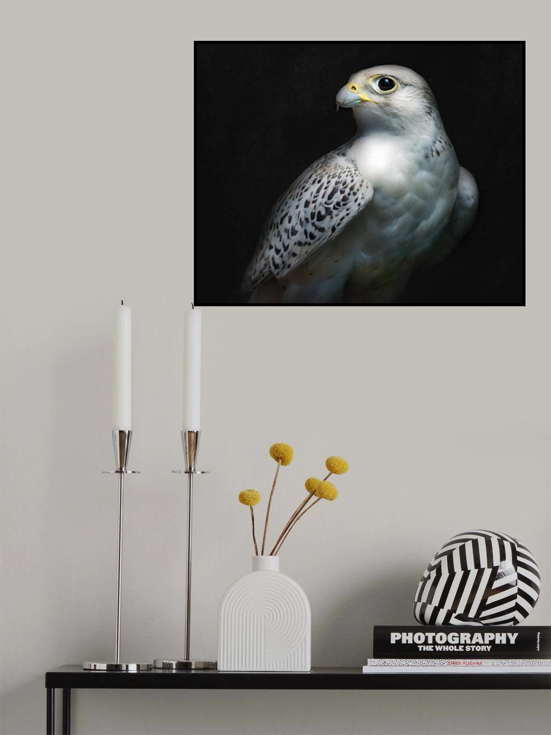 Gyrfalcon portrait II Poster och Canvastavla