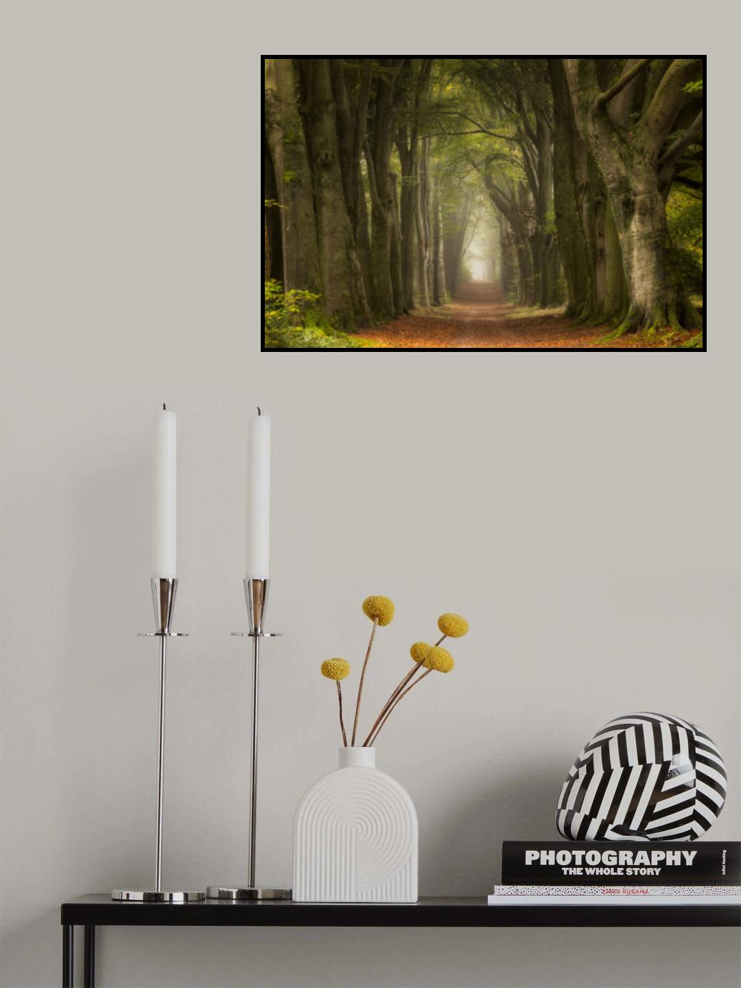 Antiquated Poster och Canvastavla