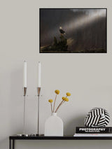 bald eagle Poster och Canvastavla