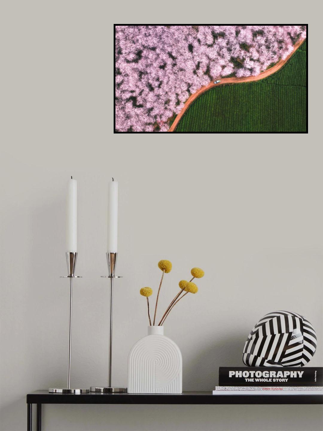 The road of flower Poster och Canvastavla