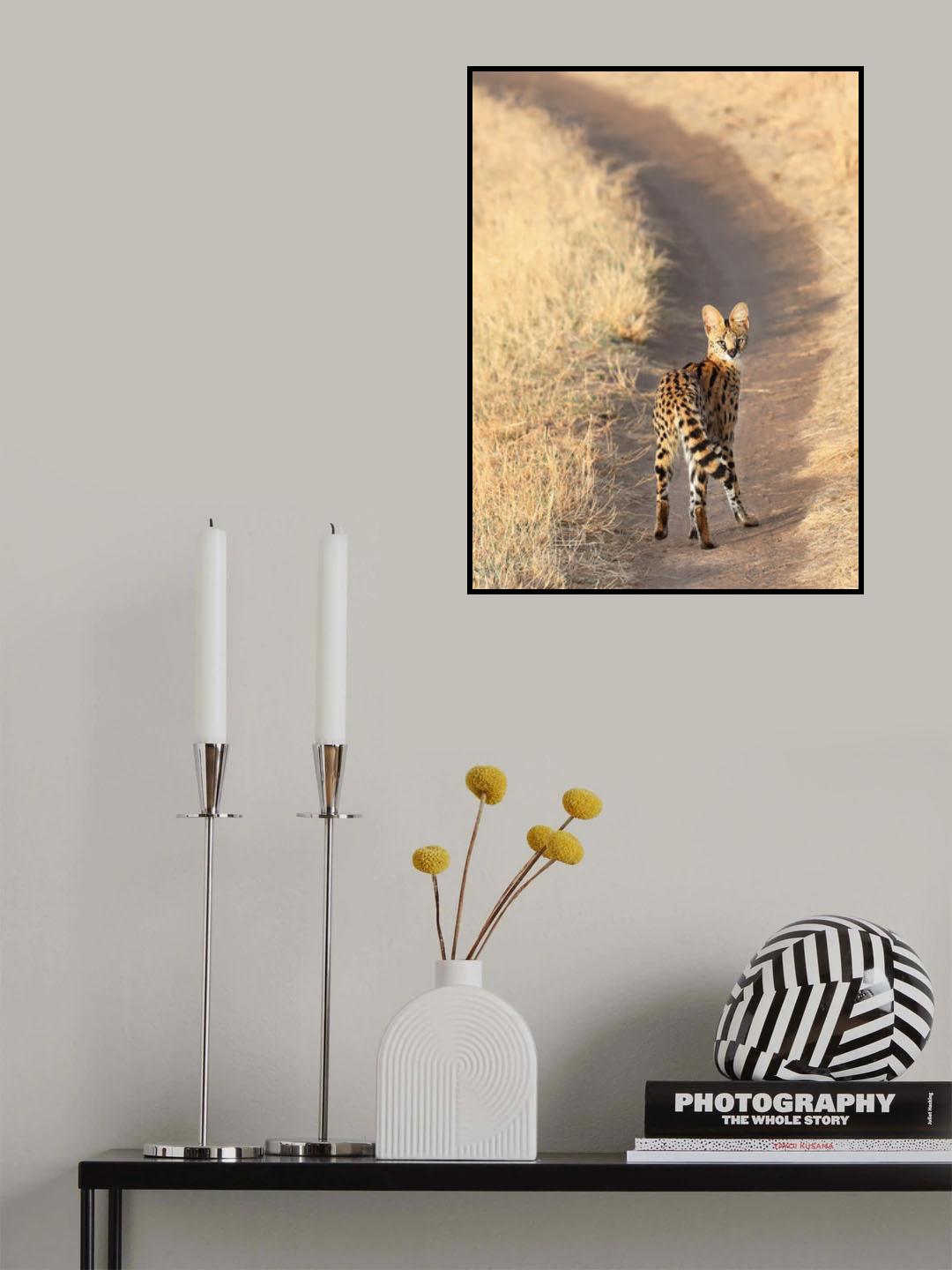 Looking back. Poster och Canvastavla