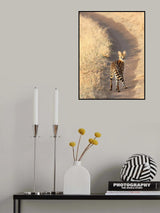 Looking back. Poster och Canvastavla